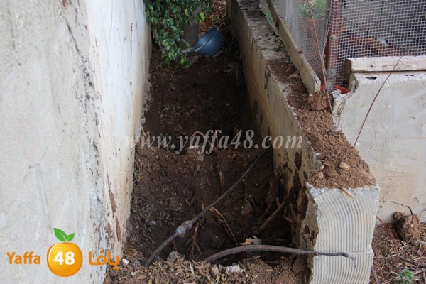 modahama lud 0216 (24).JPG